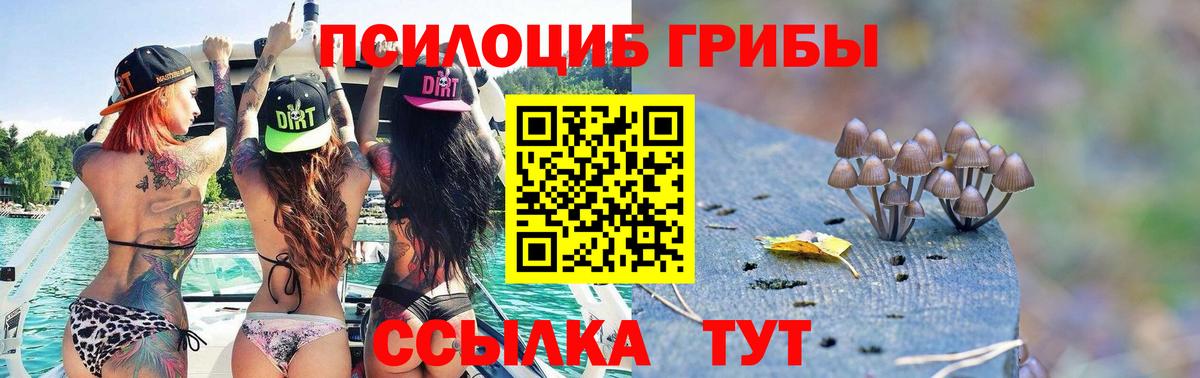 Керчь  Галлюциногенные грибы Psilocybine cubensis  Вход с VPN  Галлюциногенные грибы мухоморы 